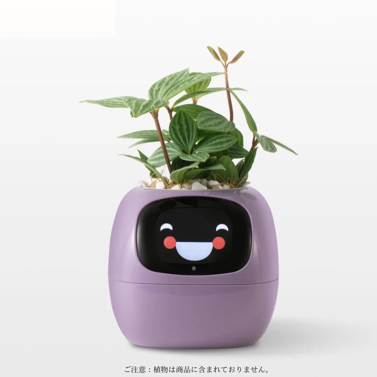 たねごっち | AIスマート植木鉢