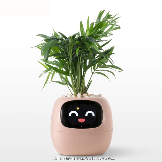 たねごっち |  AIスマート植木鉢