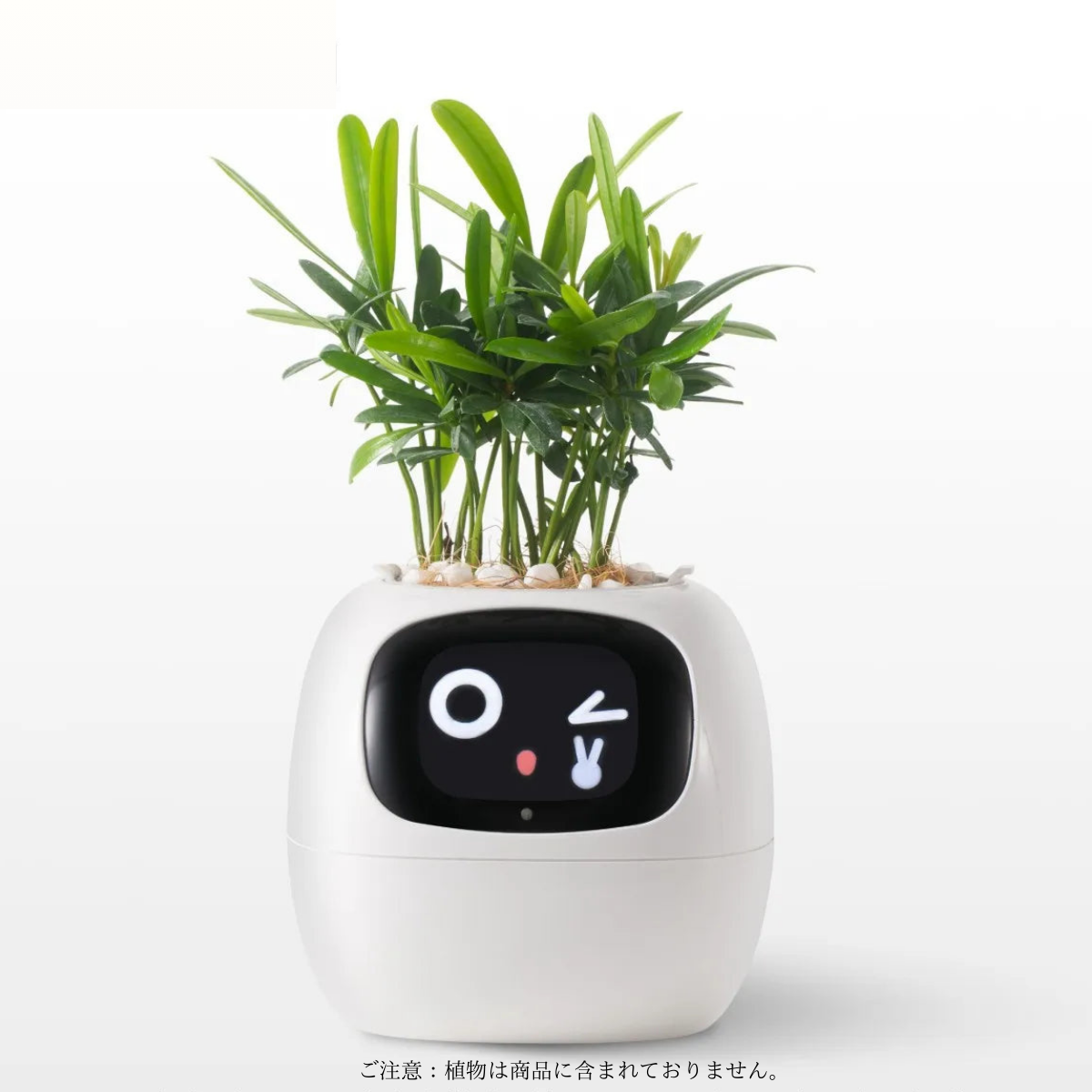 たねごっち |  AIスマート植木鉢
